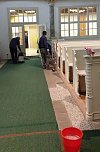 Kirche blitzblank geputzt (Foto: Katharina Weizel)