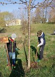 Streuobstwiese aus dem Dornröschenschlaf erwacht (Foto: Katrin Sieber) Streuobstwiese aus dem Dornröschenschlaf erwacht (Foto: Katrin Sieber)
