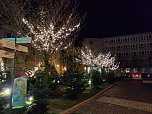 Stimmungsbilder aus Nordhausen (Foto: Peter Blei)