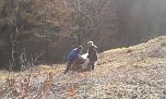 BUND-Einsatz im Zechsteingebiet (Foto: privat)