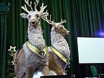 Seniorenweihnachtsfeier in Leinefelde (Foto: Ilka K&uuml;hn)