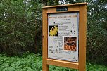 Auf dem S&uuml;dharzer Bienenlehrpfad (Foto: Thomas Soszynski)