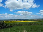 Wandern am Stausee Kelbra (Foto: Familie Friedling)