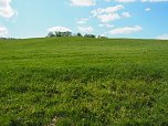 Wandern am Stausee Kelbra (Foto: Familie Friedling)
