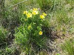 Wandern am Stausee Kelbra (Foto: Familie Friedling)
