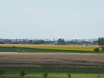 Wandern am Stausee Kelbra (Foto: Familie Friedling)