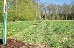 Obstb&auml;ume in Werna gepflanzt (Foto: Pressestelle Landratsamt Nordhausen)