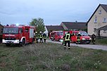 Rauch in Schweinestall (Foto: Silvio Dietzel)