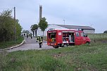 Rauch in Schweinestall (Foto: Silvio Dietzel)