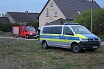 Rauch in Schweinestall (Foto: Silvio Dietzel)