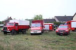 Rauch in Schweinestall (Foto: Silvio Dietzel)