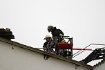 Rauch in Schweinestall (Foto: Silvio Dietzel)