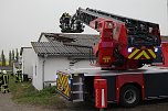 Rauch in Schweinestall (Foto: Silvio Dietzel)