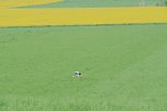 Unterwegs bei Auleben (Foto: J&uuml;rgen Friedling)