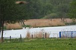 Unterwegs bei Auleben (Foto: J&uuml;rgen Friedling)