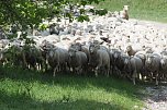 Unterwegs bei Auleben (Foto: J&uuml;rgen Friedling)