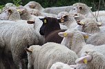 Unterwegs bei Auleben (Foto: J&uuml;rgen Friedling)