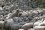 Unterwegs bei Auleben (Foto: J&uuml;rgen Friedling)