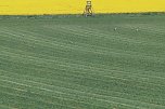 Unterwegs bei Auleben (Foto: J&uuml;rgen Friedling)