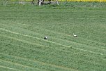 Unterwegs bei Auleben (Foto: J&uuml;rgen Friedling)