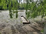 Schlossteich wird bef&uuml;llt (Foto: Karl-Heinz Herrmann)