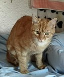 Landtagsabgeordneter Schard besucht und unterst&uuml;tzt Tierheim (Foto: privat)