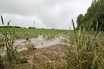 Dauerregen ruft Feuerwehren auf den Plan (Foto: Silvio Dietzel)