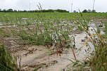Dauerregen ruft Feuerwehren auf den Plan (Foto: Silvio Dietzel)