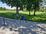 Aus den Beschlüssen des Stadtrats (Foto: Karl-Heinz Herrmann) Aus den Beschlüssen des Stadtrats (Foto: Karl-Heinz Herrmann)