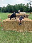 Strohspielplatz mit Wolf und Hase (Foto: privat)