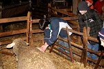 Schafe besucht (Foto: D. Praetorius)