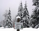 Im Harz (Foto: Hans-J&uuml;rgen Schmidt)
