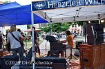 Jazzsommer mit Pro Art (Foto: D.Schröter) Jazzsommer mit Pro Art (Foto: D.Schröter)