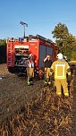 Feldbrand auch im Kyffhäuserkreis (Foto: Silvio Dietzel) Feldbrand auch im Kyffhäuserkreis (Foto: Silvio Dietzel)