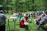 Blutbuchenk&ouml;nigin bleibt l&auml;nger im Amt (Foto: Karl-Heinz Herrmann)