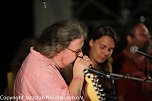 Drittes open air Jazzsommerkonzert mit der Cotton Men Blues Band  (Foto: Jazzclub Nordhausen)