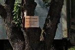Was passiert im einst so sch&ouml;nen Teichtal bei Hainrode? (Foto: agl)