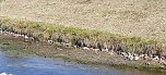 Dies und das aus Sondershausen (Foto: Karl-Heinz Herrmann)