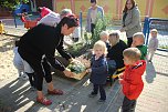 Herbstputz und Herbstpflanzung in Stocksen (Foto: Karl-Heinz Herrmann)