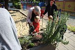 Herbstputz und Herbstpflanzung in Stocksen (Foto: Karl-Heinz Herrmann)