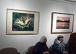 Ausstellung Manuela Haufschild (Foto: Karl-Heinz Herrmann)