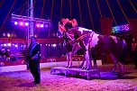 Circus Atlantik am Scheunenhof (Foto: City-Scout Sven G&auml;mkow)