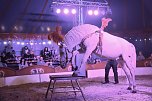 Circus Atlantik am Scheunenhof (Foto: City-Scout Sven G&auml;mkow)