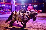 Circus Atlantik am Scheunenhof (Foto: City-Scout Sven G&auml;mkow)