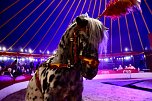 Circus Atlantik am Scheunenhof (Foto: City-Scout Sven G&auml;mkow)