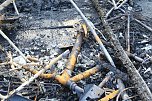 Brand am H&uuml;nstein (Foto: S.Dietzel)