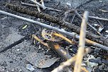 Brand am H&uuml;nstein (Foto: S.Dietzel)