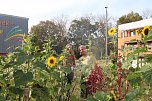 F&uuml;r eine lebendige und zukunftsf&auml;hige Stadt (Foto: Katrin Sieber)