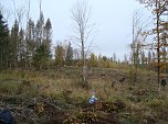 B&auml;ume pflanzen f&uuml;r den Klimaschutz (Foto: Steffen Eisfeld)
