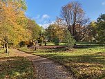 Aufr&auml;umarbeiten mit schwerem Ger&auml;t im Park Hohenrode (Foto: Jochen Einenckel)